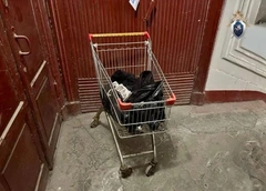 «Убил жену по неосторожности»: расчлененная модель Антонина Сергеева не первая жертва пенсионера из Петербурга