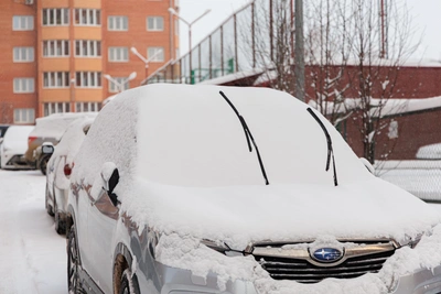 Illegal Dentists, Punished Official, Snow Return: Voronezh Roundup