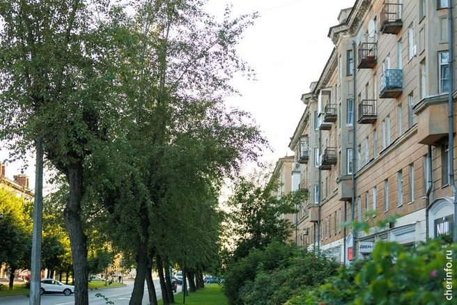 Источник: st.cherinfo.ru