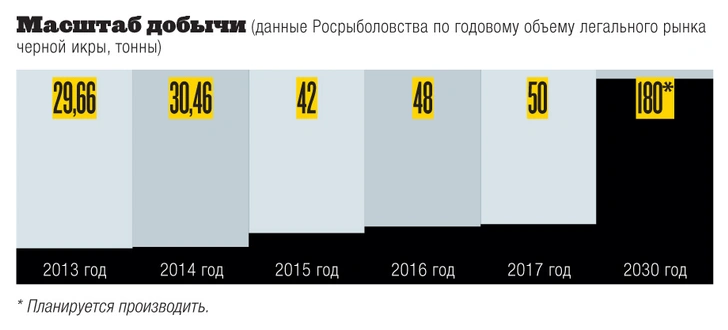 Инфографика: черный рынок