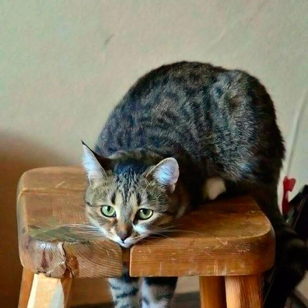 Источник: соцсети