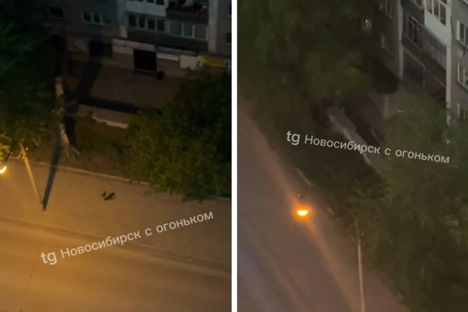 Полиция проводит проверку по факту публикации | Источник: телеграм-канал «Новосибирск с огоньком»