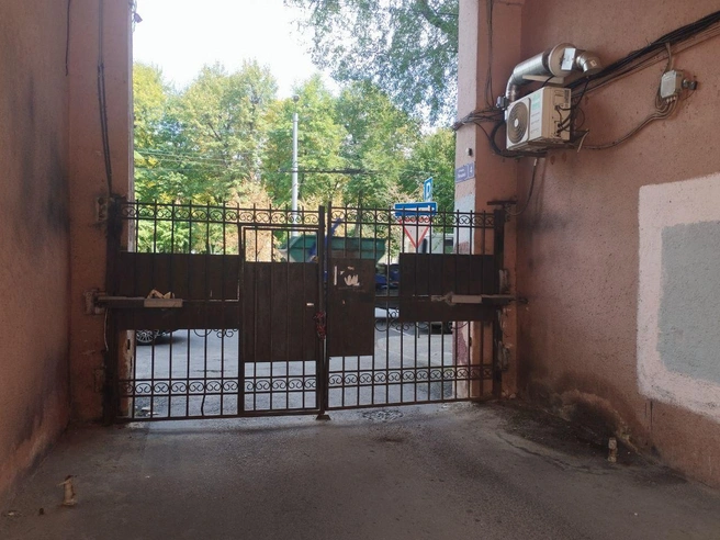 Источник: Дмитрий Волгин / Voronezh1.ru