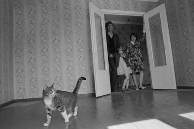 How the USSR gave away free apartments and why we won't get them