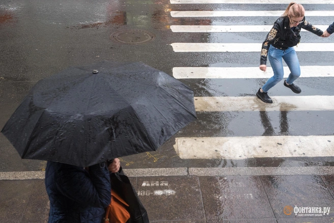 Ребёнок не пострадал | Источник: Михаил Огнев / FONTANKA.RU