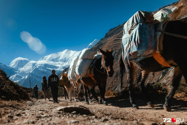 Источник: Екатерина Бурко