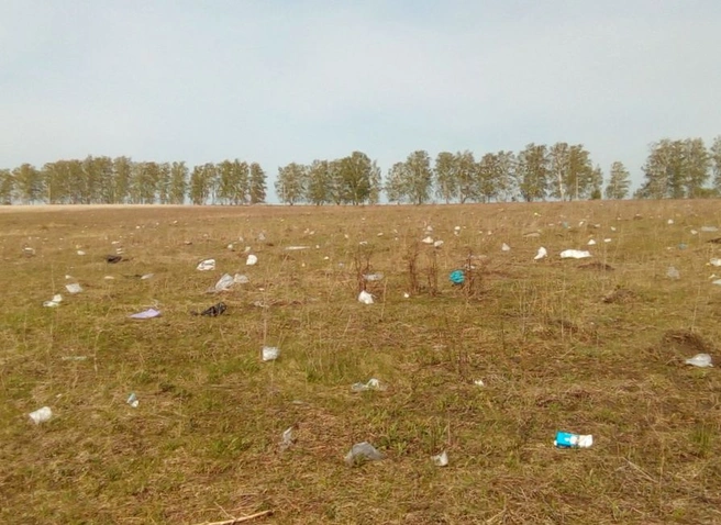 Фото: в знаменитом рязанском селе пахотные земли превратили в помойку | ya62.ru