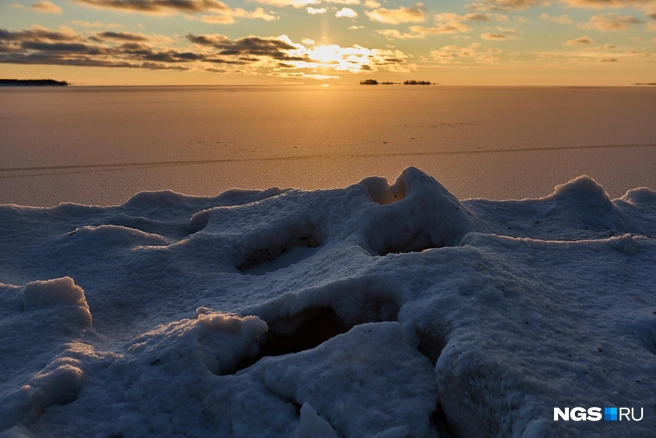 Источник: Александр Ощепков / NGS.RU