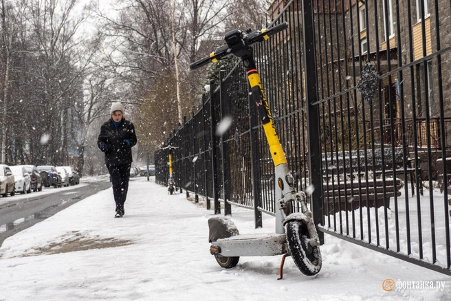 Фото заставочное | Источник: Михаил Огнев / FONTANKA.RU