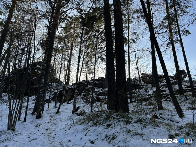 Скалы выветривания на подходе | Источник: Алексей Тайганавт/ NGS24.RU