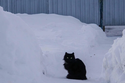 Почему пятницу 13-го не стоит бояться