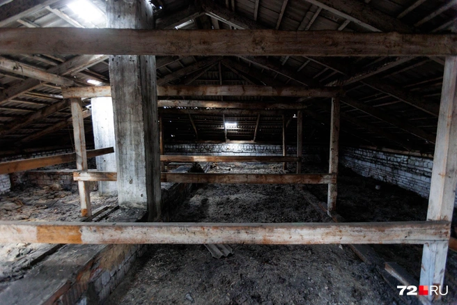 Надписей тут почти нет | Источник: Ирина Шарова / 72.RU