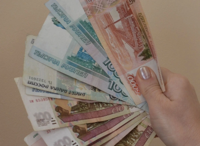 Для части работающих по упрощенной схеме налогообложения рязанских предпринимателей снижена ставка | ya62.ru