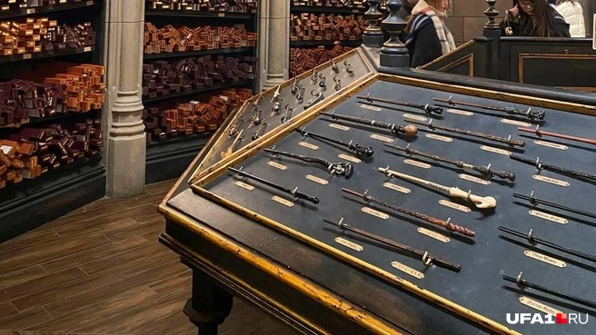 В лавке Олливандера | Источник: Арина Насырова / UFA1.RU