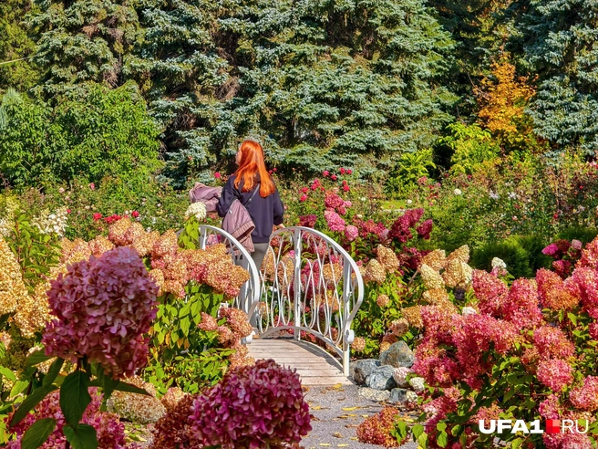 Ценители прекрасного гуляют через мостик | Источник: Булат Салихов / UFA1.RU