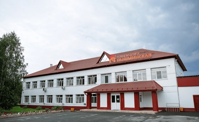 Вспышка произошла на птицефабрике «Пышминская» | Источник: 2Gis