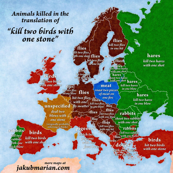 Как звучит фразеологизм «убить двух зайцев» в разных странах (карта прилагается)
