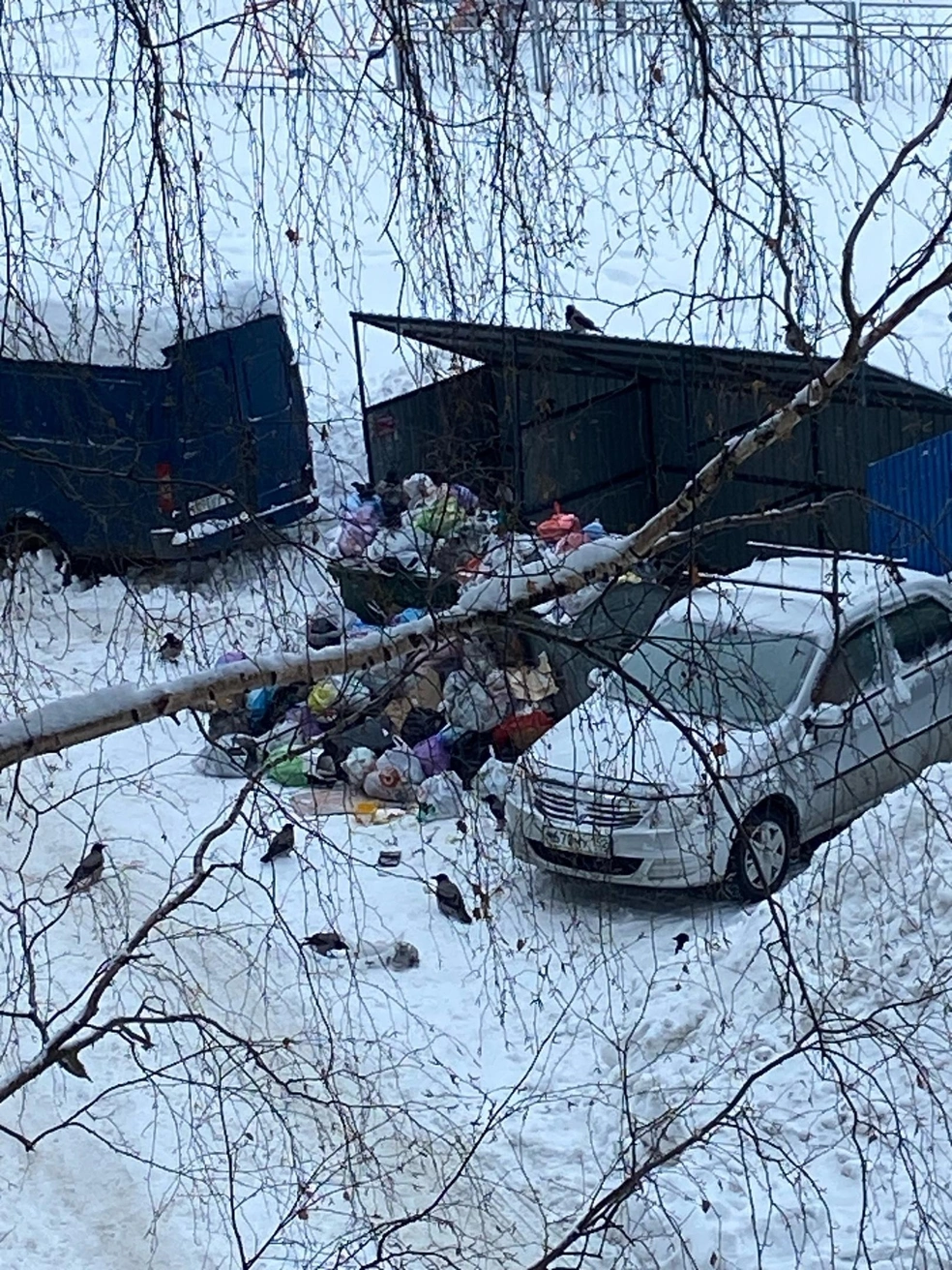 Вывоз мусора в Нижнем Новгороде: адреса и фото самых проблемных мест - 22  января 2024 - НН.ру