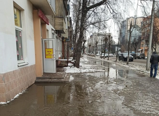 Работы по устранению «зеленого потопа» в центре Рязани завершены | ya62.ru