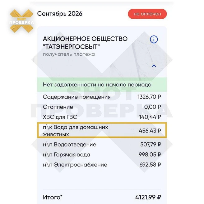 Источник: Shot Проверка / T.me