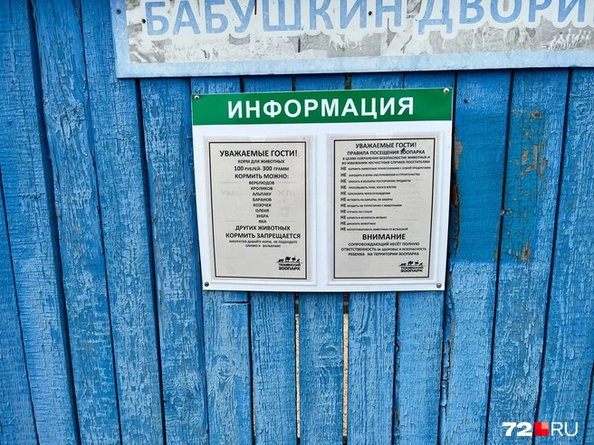 Запретов множество, но без них никуда | Источник: Анатолий Кузнецов / 72.RU