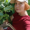 userpic__Анна Симонова