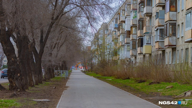 Источник: Лера Городецкая / NGS42.RU