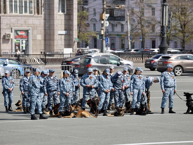Представители кинологической службы вместе со служебными собаками расположились немного в стороне. | Источник: Михаил Шилкин