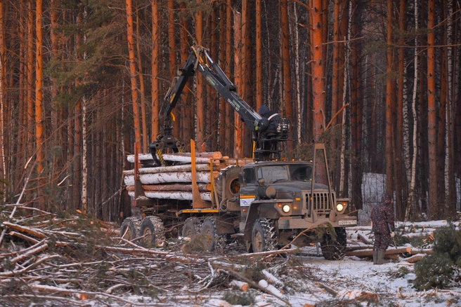 Источник: Артем Устюжанин / E1.RU