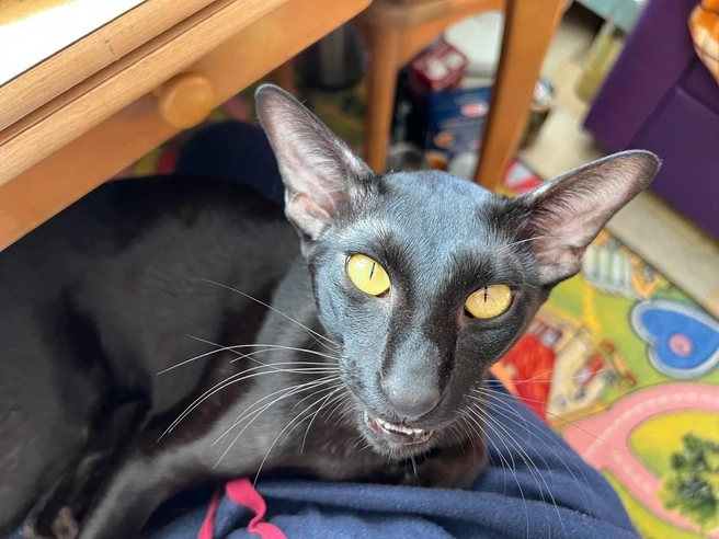 Источник: «Фонтанка.ру»