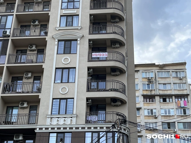 Студии в Сочи всегда популярны | Источник: Анна Грицевич / SOCHI1.RU
