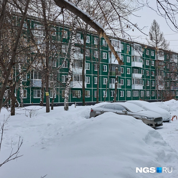 С противоположной стороны колорит более сдержанный, хрущевки там покрасили в зеленый цвет | Источник: Александр Ощепков / NGS.RU