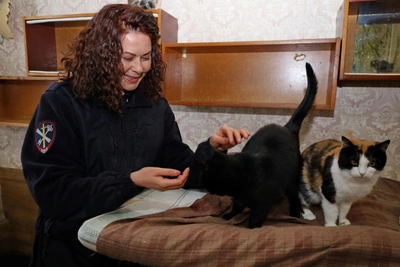 Костромские полицейские помогли приюту в день кошек