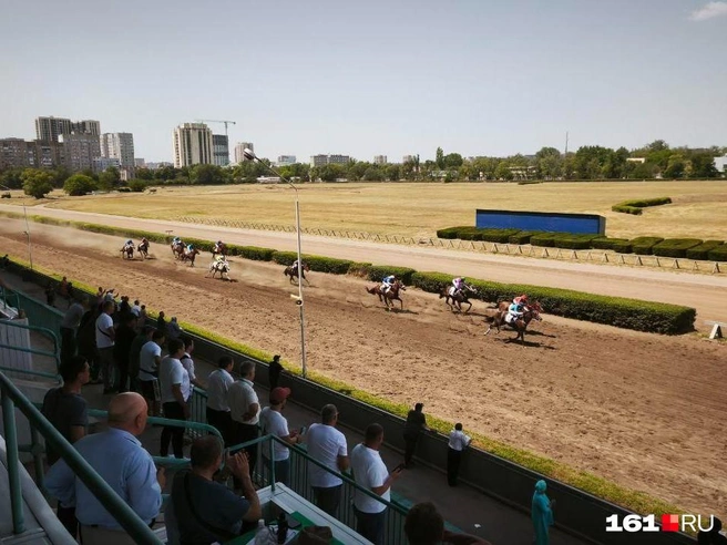 Ипподром закрыл новый собственник  | Источник: Григорий Ермаков / 161.RU