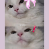 userpic__Kimmon_0006