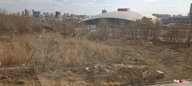 Внести, например, можно пустырь напротив Торгового центра&nbsp;— в соседнем квартале от места проведения субботника с главой | Источник: читатель 74.RU 