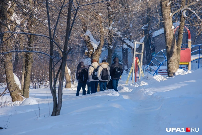 Прямо целый паровозик учеников | Источник: Булат Салихов / UFA1.RU