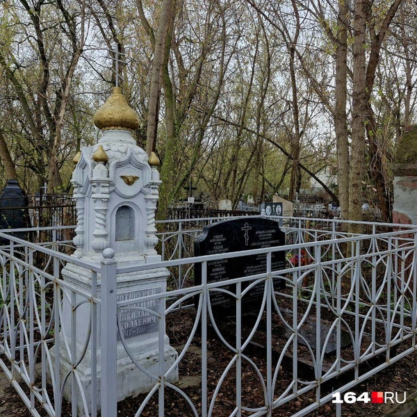 Источник: Виктория Федорова / 164.RU