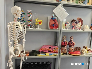 Источник: Тамара Ван-Фу-Ли / CHITA.RU