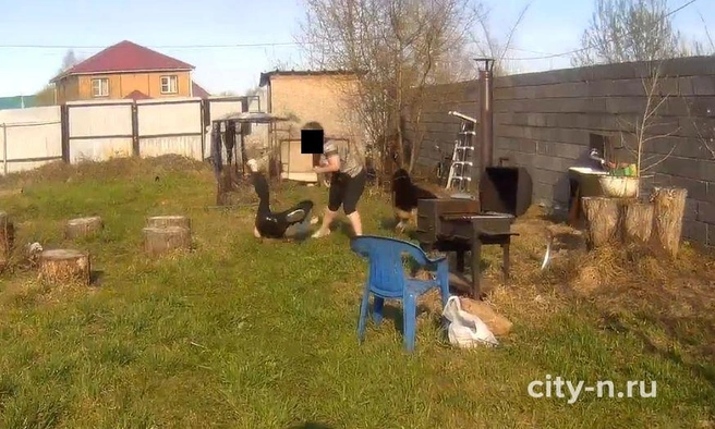 Источник: city-n.ru