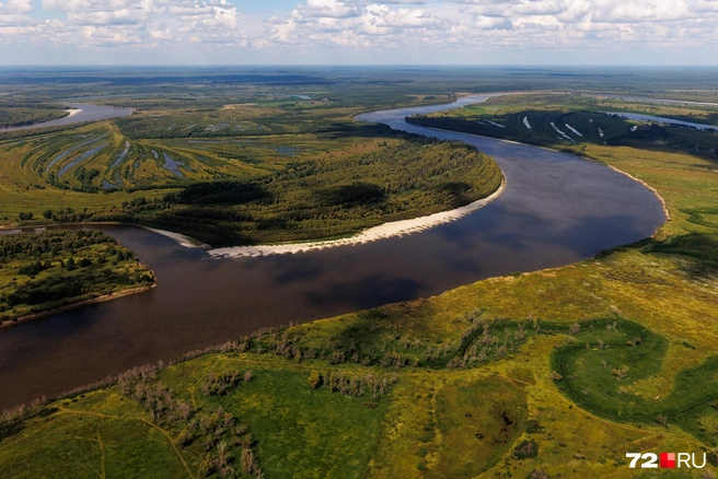 Обстановка в этом сезоне спокойная  | Источник: Ирина Шарова / 72.RU 