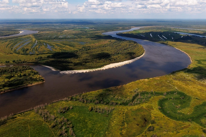 Поиски организовали вечером в четверг, 25 сентября. И только сегодня пенсионерку нашли | Источник: Ирина Шарова / 72.RU