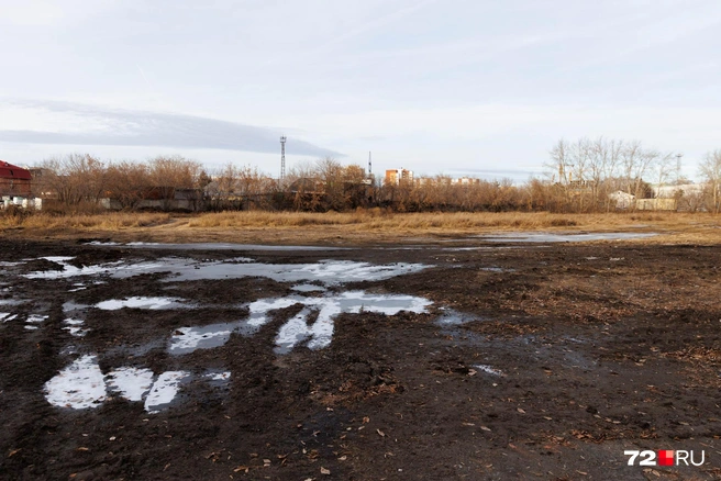 Так и выглядит стадион сейчас | Источник: Ирина Шарова / 72.RU