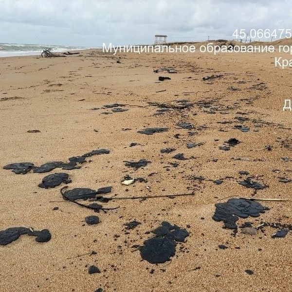 Пляжи после очистки загрязняются снова | Источник: Добровольцы ССЛ