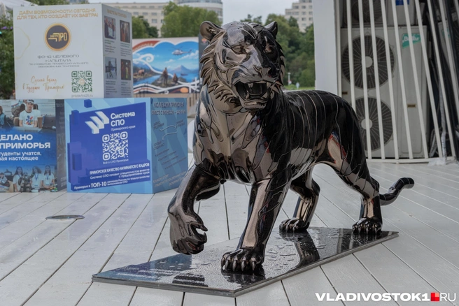 Источник: Елена Буйвол / VLADIVOSTOK1.RU