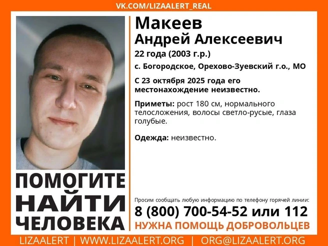 Источник: Конное направление ДПСО «ЛизаАлерт» / Vk.com