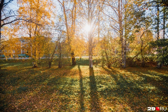Источник: Иван Митюшёв / 29.RU