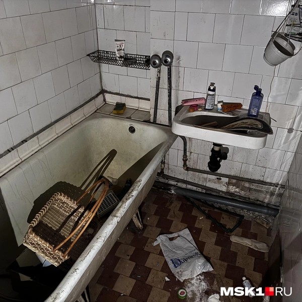 Источник: Алина Мельникова / MSK1.RU