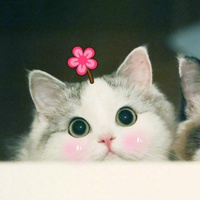 Аватарка savostyanova.julie