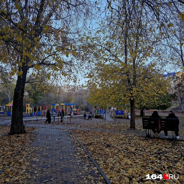 Все спокойно | Источник: Виктория Федорова / 164.RU